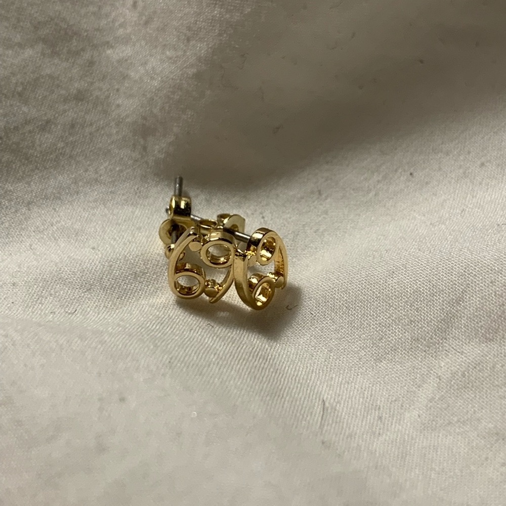 Cancer Astrology Stud Earrings